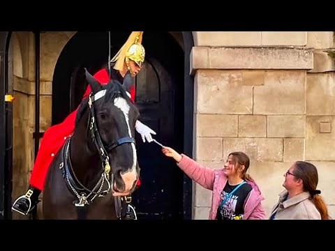 Unbelievable: Super Spectacular scenes from London horse guard #londonlive #kingsguards #horseguards