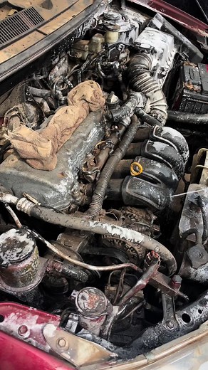 Holiday Greetings from SO-CLEAN AUTO