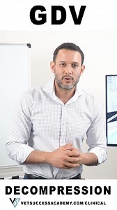 1.4K views · 97 reactions | Decompressing a Gastric Dilation and...