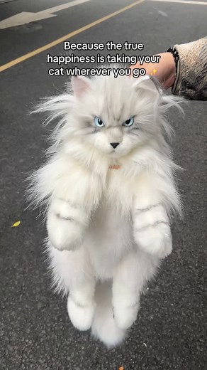 New Product Silver Maine Coon Backpack on Sale! Find the link in my profile 💗🛒#chongker #chongkerbackpack #handmadeplushies #plushbackpack #christmasgiftideas #mainecoon | Chongker