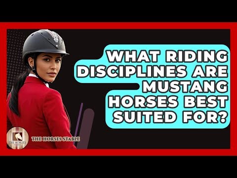 What Riding Disciplines Are Mustang Horses Best Suited For? - The Horses Stable