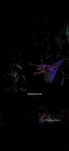 Discover the Magic of Efteling Theme Park