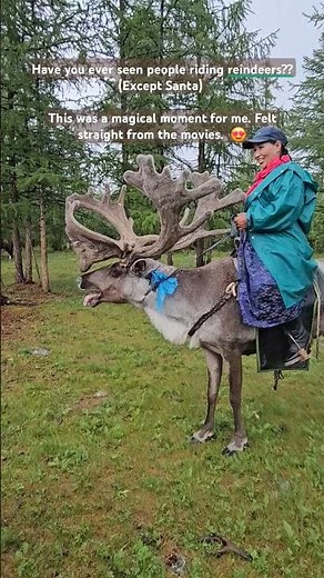 Reindeer riders. Only in Mongolia. #reindeer #herders #adventure #travel #mongoliadiaries #mongolia