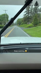 Posting here bc so cute and can’t believe it got it on camera #possum | Awesome Animals