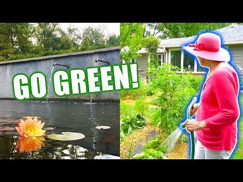 Sustainable POND with RAINWATER HARVESTING