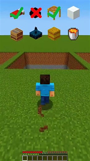 🏆 Only 1 Block Can Save You in Minecraft!