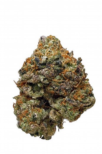 Purple Skunk Strain - Hybrid Cannabis Review, 18.0% THC,1.0% CBD