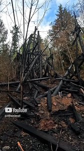 49K views · 1.5K reactions | It's been three weeks since the fire....
