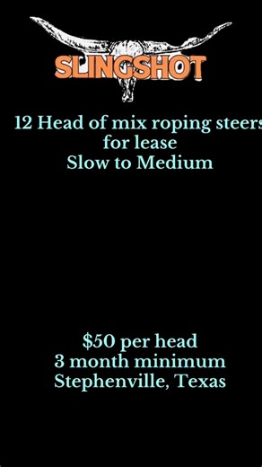 Roping Steers for Lease in Stephenville, Texas