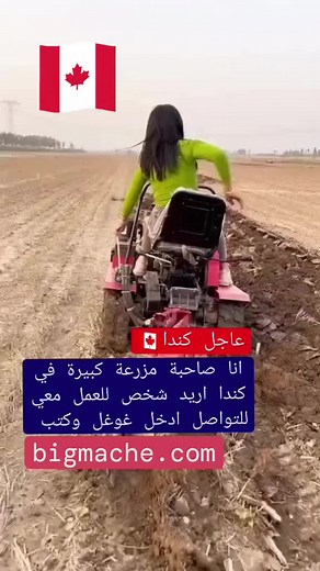 Woman Driving Tractor in Rural Canada