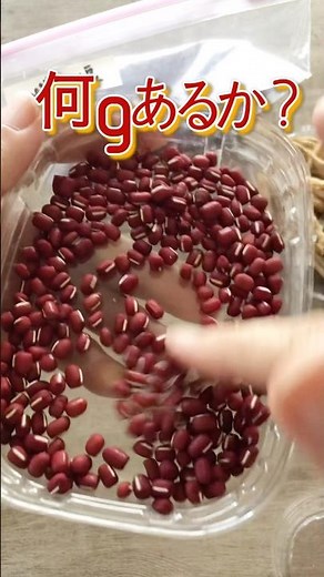 【再生栽培】スーパーの小豆を農園で栽培したら/#小豆/#再生栽培