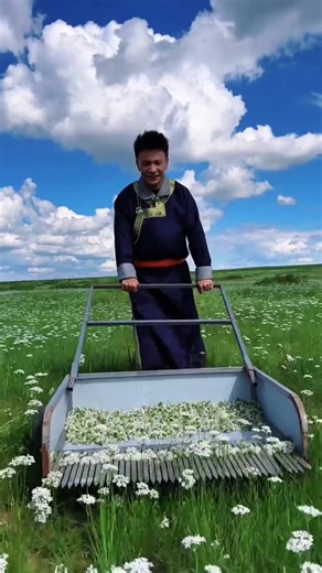 Exploring the Joys of Country Life on the Farm