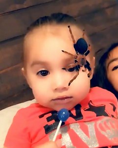 2.3M views · 4.3K reactions | Not everyone is a fan of this new spider filter... ️ | LADbible | Facebook