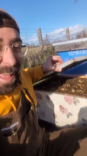 Where do honey bees go in the Winter? ❄️🤔 The simplest answer? They go home 🐝 Even when temperatures outside drop, honey bees are able to maintain a comfortable temperature inside the hive, and there are a couple of things that Beekeepers like Dave can do to help them out! 👍🏻 🐝 Put in an entrance reducer to limit the amount of cold air (and scavengers) that are able to make it inside the hive. 🐝 Add a layer of styrofoam insulation on top of the inner lid, before covering the hive box with 