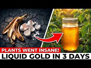 I Turned Banana Peels & Eggshells Into Liquid Gold In 3 Days! (Plants Went Insane)