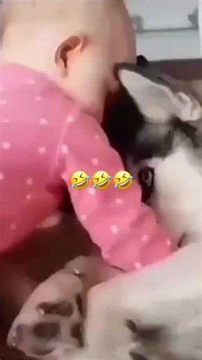 #funny #talking #viral #voiceover #fyp | funny voiceover