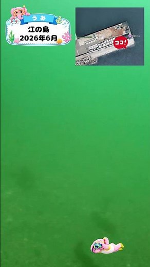 知育動画で楽しく学ぶ【水中映像】今日は魚いるかな？🐟 江の島の海の中🌊2026年6月