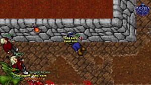 Conhecem a Guild HuEhEeHuE BR? | Old Tibia