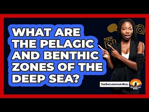 What Are The Pelagic And Benthic Zones Of The Deep Sea? - The Documentary Reel