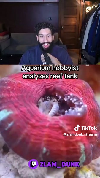 Aquarium Hobbyist Analyzes Reef Tank Mishaps