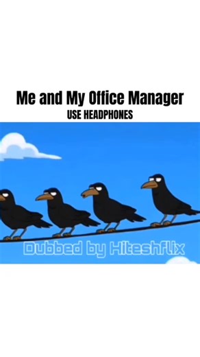 Arzu on Instagram: "Me and My Office Manager . . . @ig.galatbanda #memes #funny"