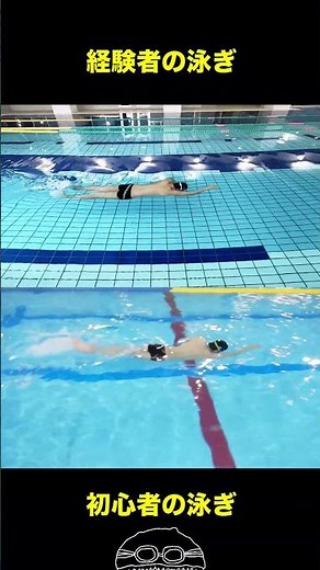 経験者のクロール #swimming #水泳教室 #swim #水泳 #泳ぎ方 #クロール #平泳ぎ #バタフライ