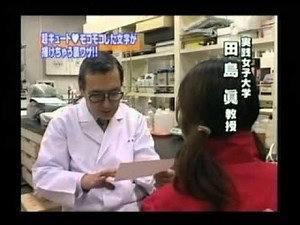 製作 立体的な絵や文字が簡単に書ける