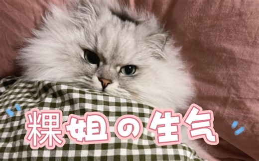 2023.3.2 KBDYD录播第一段  白粿：我刚洗的澡吖！