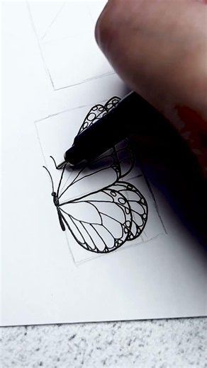 Practicing my side view butterfly drawing tutorial 🦋