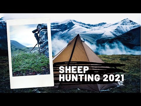 Sheep Hunting 2021