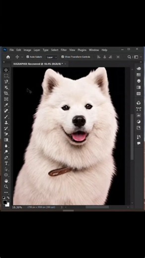 How to Remove Background in Adobe Illustrator 2026 #iugraphix.