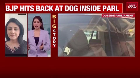 Winter Session Drama: Congress MP Reportedly Brings Pet Dog Inside Parliament Premises