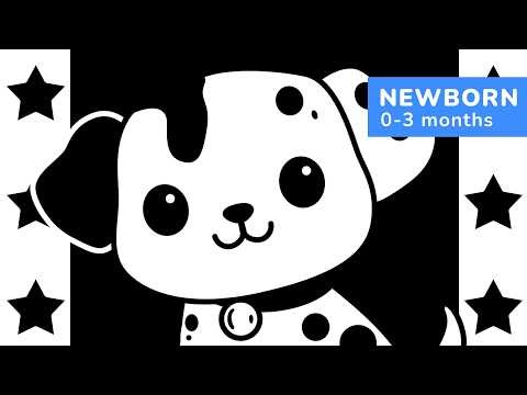 High Contrast Baby Sensory for Newborns | Gentle Horizontal Animal Motion