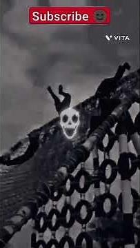 Bhairav commandos are a new type of elite, light commando unit being formed within