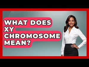 What Does XY Chromosome Mean? - Biology For Everyone