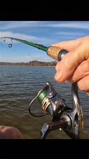 This is the one we were looking for 🧐🤔