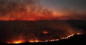 Como o fogo no Pantanal devastou um santuário de araras-azuis