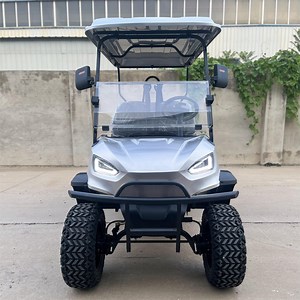 [Hot Item] Wintao Buggy Golf Car Cargo 72V Lithium Ion Golf Cart Cargo Box