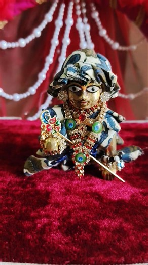 mene apna sara jeevan tere naam kiya . #laddugopal #krishna #shyamkripa #shorts #viral