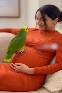 39K views · 928 reactions | This Parrot Thinks He’s the Baby Daddy | Mr.Scarlet Macaw | Facebook