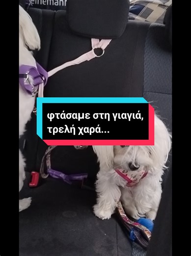Φτάσαμε στη γιαγιά με τρελή χαρά!