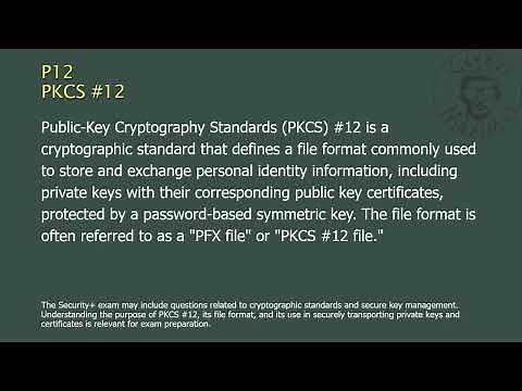 P12 - Public-Key Cryptography Standards (PKCS) #12