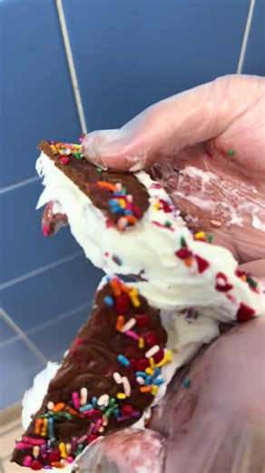 Check out this DQ sandwich I made special for me😋#viral #fyp #JustForFun #DQLife #trending