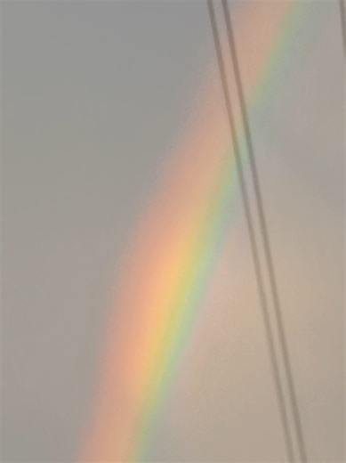 Exploring Hidden Truths Behind Fake Rainy Days