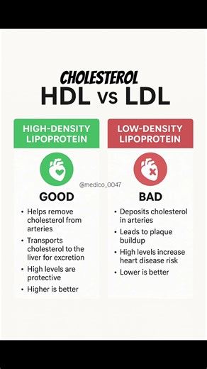 HDL vs LDL | Good Cholesterol vs Bad Cholesterol Explained in Simple Words 🫀| Doctor Facts #viral