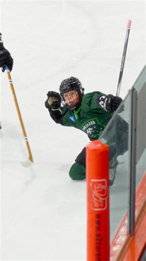 2016 born Beau Eckford scores at the HPL Championships for his 2015 Lumberjacks Hockey Team