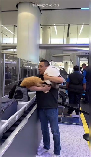 I can’t believe he brought them to the gate!