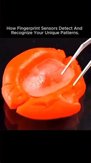 Fingerprint Sensors Explained: The Science Behind Biometric Security