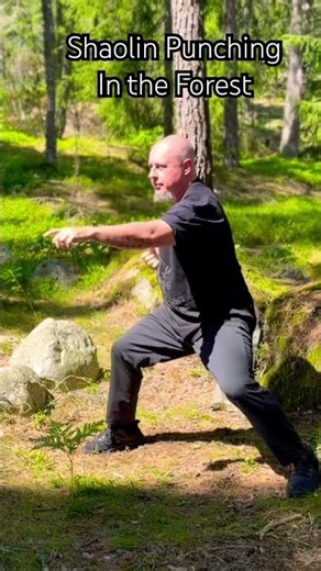 Shaolin Punching