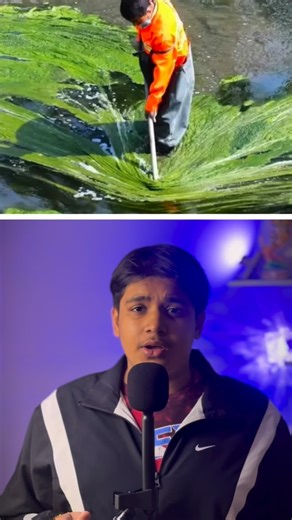 Avi Facts on Instagram: "The Richest Protein Superfood in the World 💪 One spoon, unlimited health benefits! 🔥 #Superfood #Protein #explorepage #instamood #explorar"